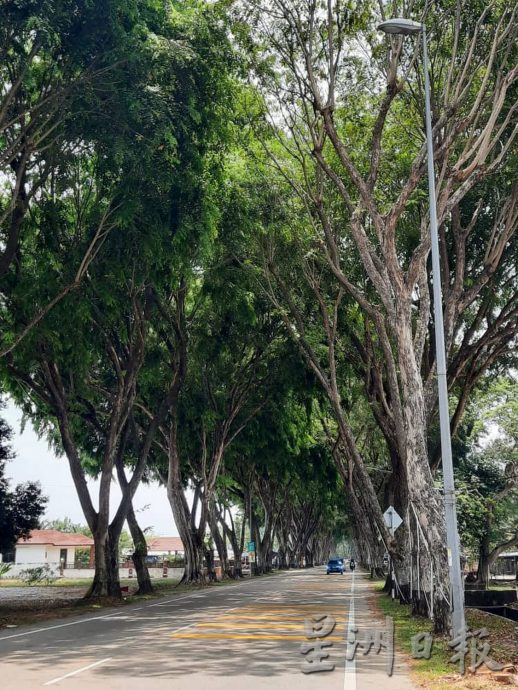 (古城封面主文)武吉卡迪通往鲁容路两年后提升为4车道