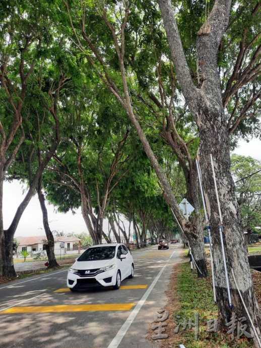 (古城封面主文)武吉卡迪通往鲁容路两年后提升为4车道