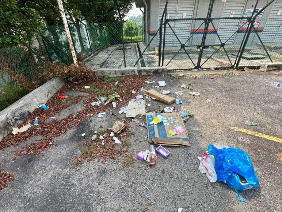 (古城第三版主文)马六甲柏淡那面对猴患问题 邓永森:喂养猴子可被罚500