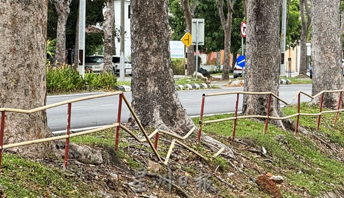 （古城第三版主文）默迪卡花园大路栏杆“凹形”新设计迎旅游年？