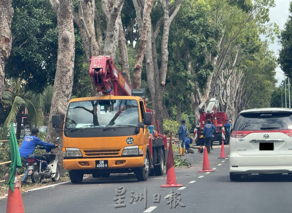 （古城第三版主文）默迪卡花园大路栏杆“凹形”新设计迎旅游年？
