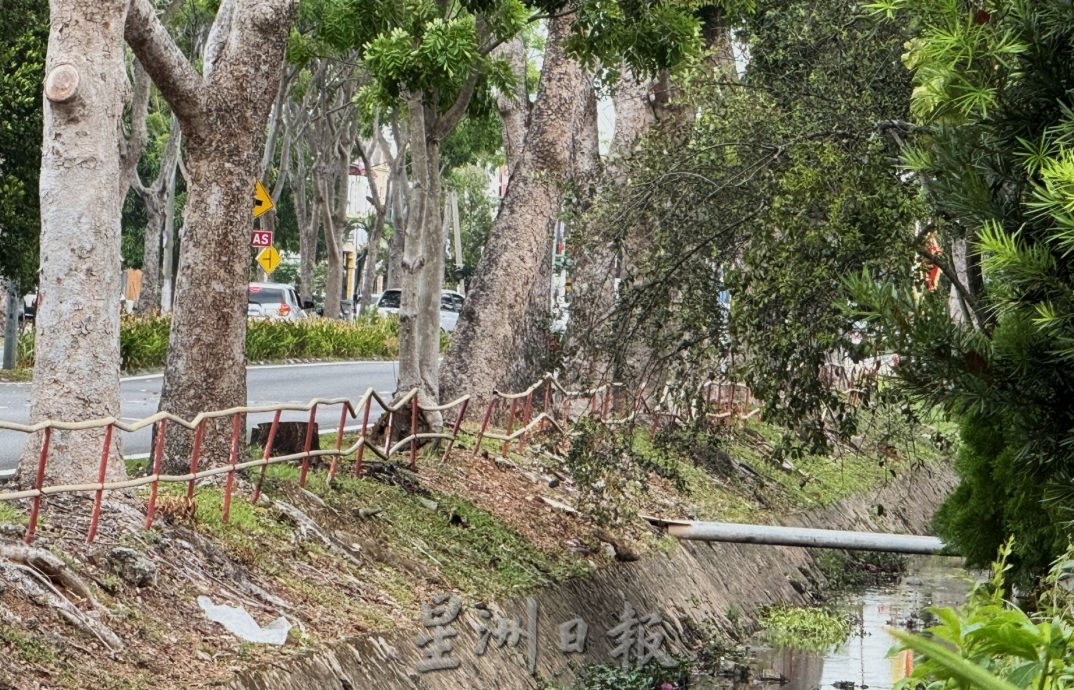 (古城第三版主文)默迪卡花园大路栏杆“凹形”新设计迎旅游年?