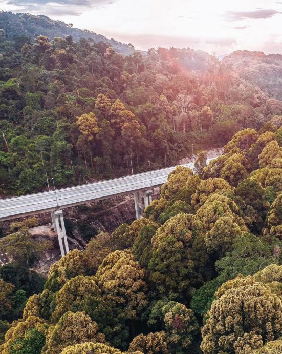  （多图）旅游局分享万绕绕道高架公路美景 “花椰菜山丘”惊艳网民