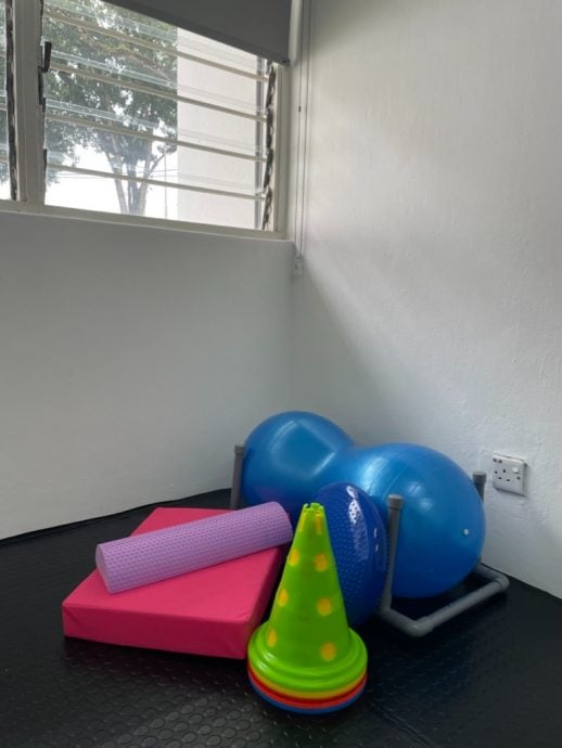 (大北马)宠物的物理治疗