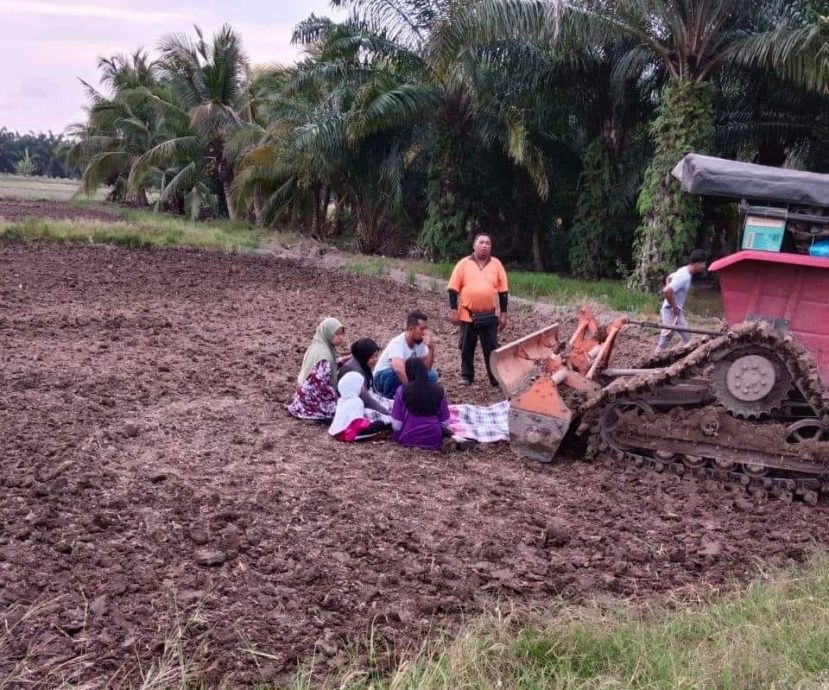 （大北马）梨田工作 男子疑受卷拖拉机重伤而亡 