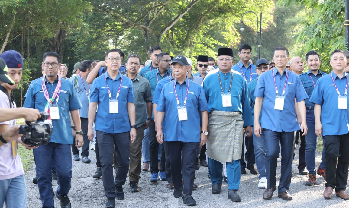 (大都会)封底画页短文