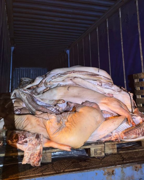 (已签发)柔:大马检疫及检验局 扣查无进口准证猪肉