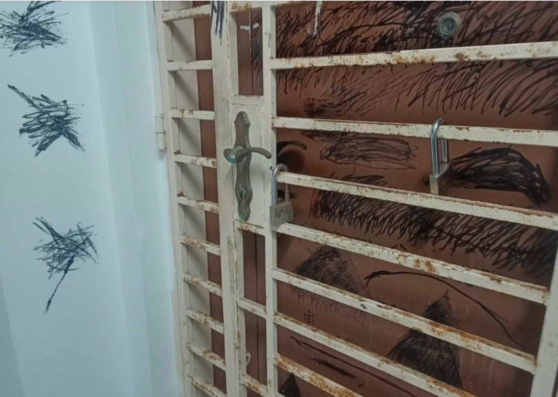 (已签发)柔:狮城二三事:女子疑辱骂涂鸦扰邻多年 警方:她正协助警方查案