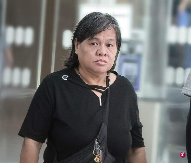 (已签发)柔:狮城二三事:宠物鸭“招厄运”丢弃自然保护区 阿嫂判罚8800令吉