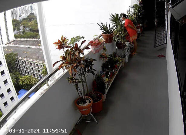 （已签发）柔：狮城二三事：工作仅7周出门丢垃圾未归　女佣逃离新加坡