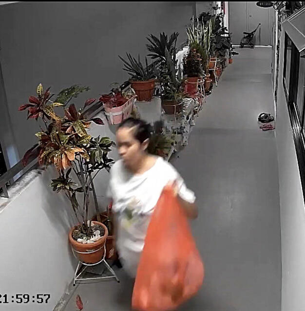 （已签发）柔：狮城二三事：工作仅7周出门丢垃圾未归　女佣逃离新加坡