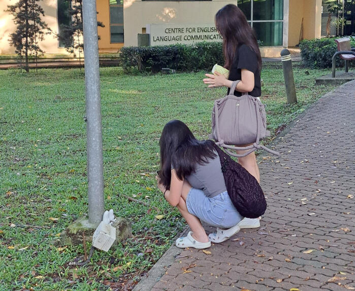 (已签发)柔:狮城二三事:狮城国大考生为求顺利 拜牛油“考神”