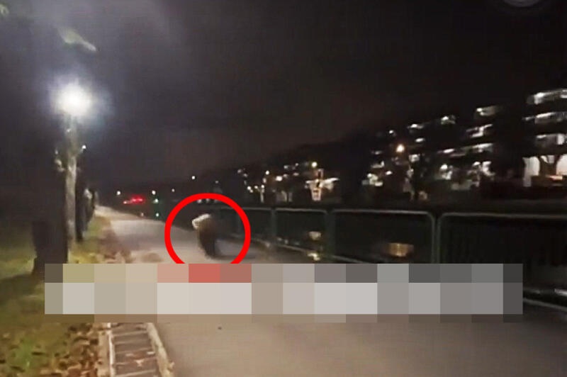 （已签发）柔：狮城二三事：疑有人违规改装代步工具　‘飙车’时速达140公里