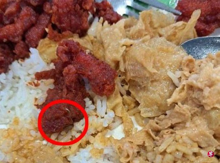 (已签发)柔:狮城二三事:食客投诉 吃杂菜饭险吞钢丝