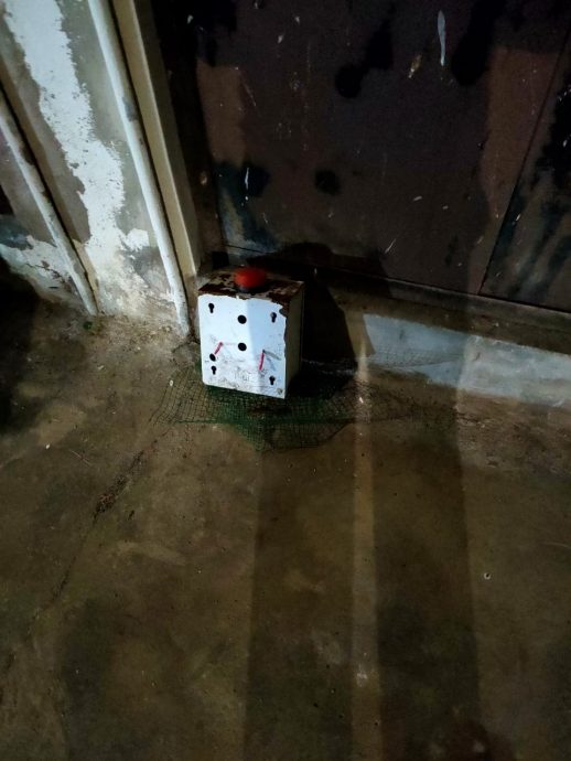 NS 榕吉燕屋区频频发生偷燕窝事件