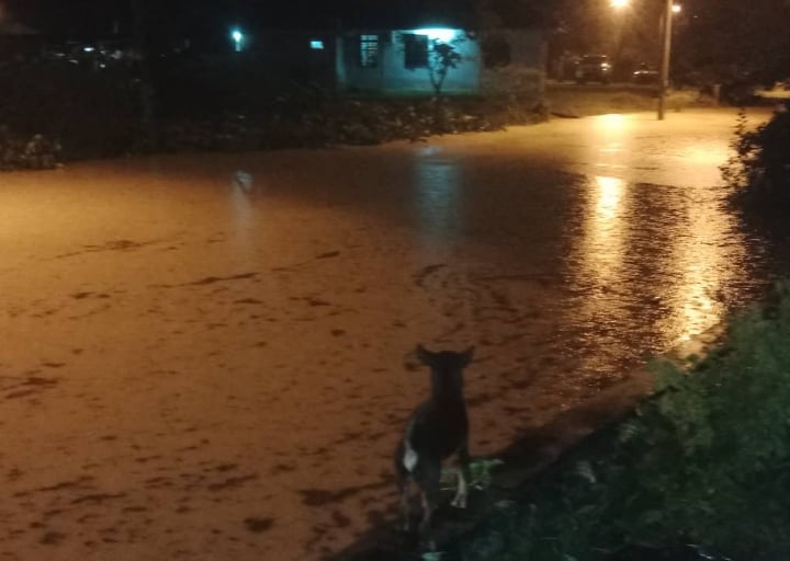 ns波德申：芦骨多个低洼地区发生严重水灾