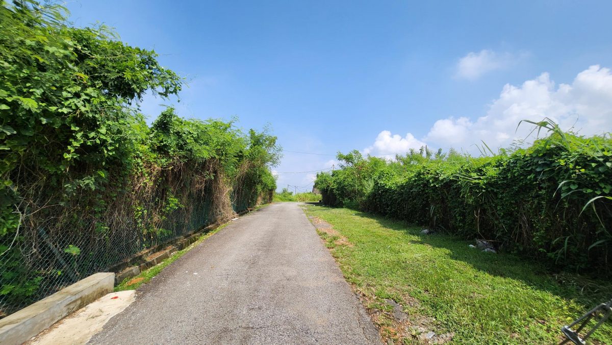 NS芙蓉/万茂新村警察保留地租户没清理 居民住家二度有蛇入屋