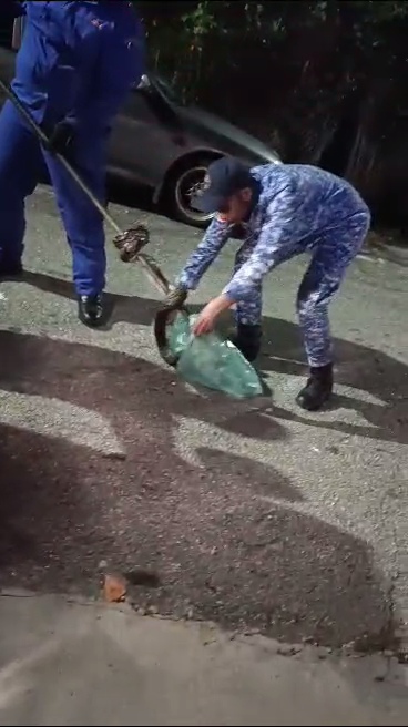 NS芙蓉/万茂新村警察保留地租户没清理 居民住家二度有蛇入屋