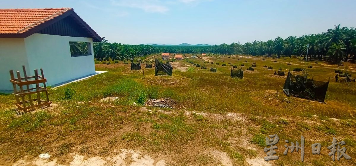 ns马口：“榕吉庄园”由怀念故乡的原乡人策划和打造