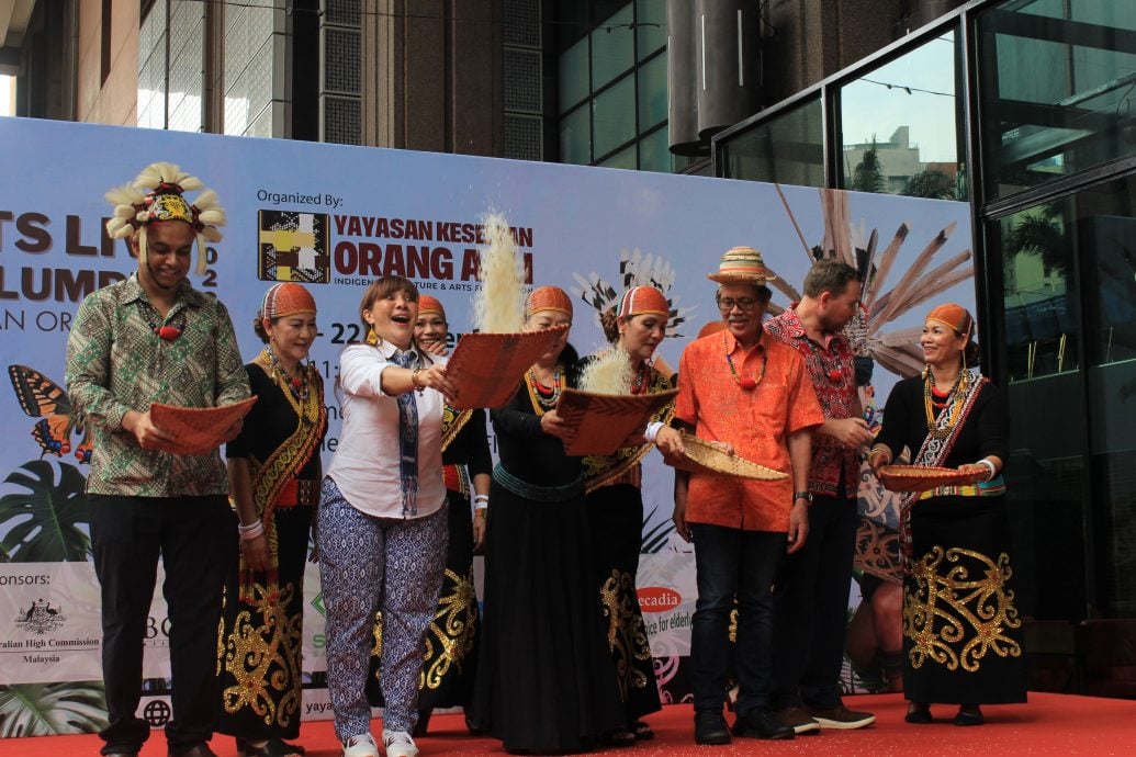 我们/来自风之谷的加拉毕族,人数少、智商高