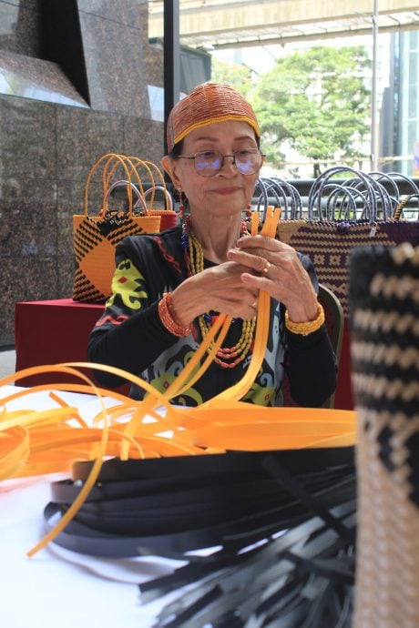 我们/来自风之谷的加拉毕族,人数少、智商高