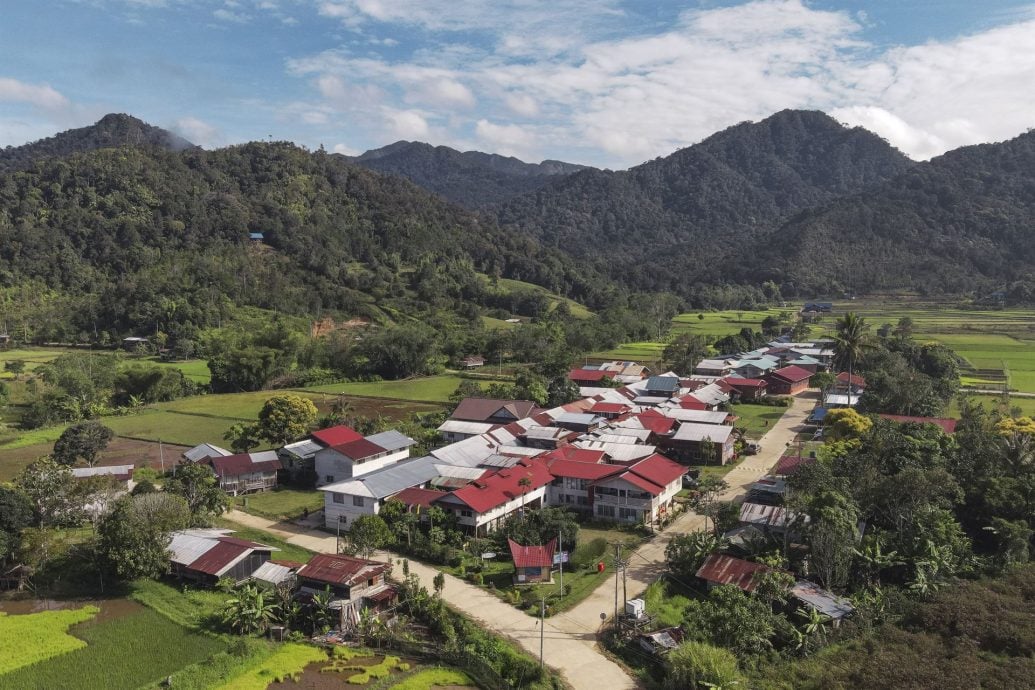 我们/来自风之谷的加拉毕族,人数少、智商高