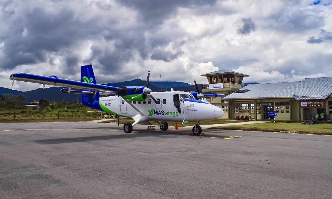 我们/来自风之谷的加拉毕族,人数少、智商高