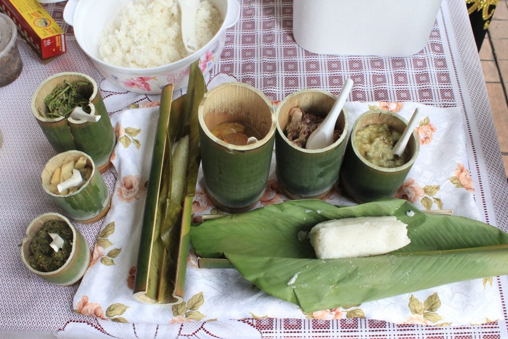 我们/来自风之谷的加拉毕族,人数少、智商高