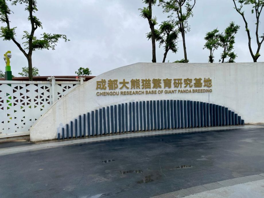 2024年汤尤杯| 成都随笔 带大家走一趟成都文化之旅