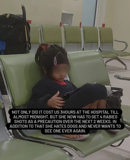 4岁女童被咬伤狗主没道歉!答“我的狗不喜欢小孩”便离开