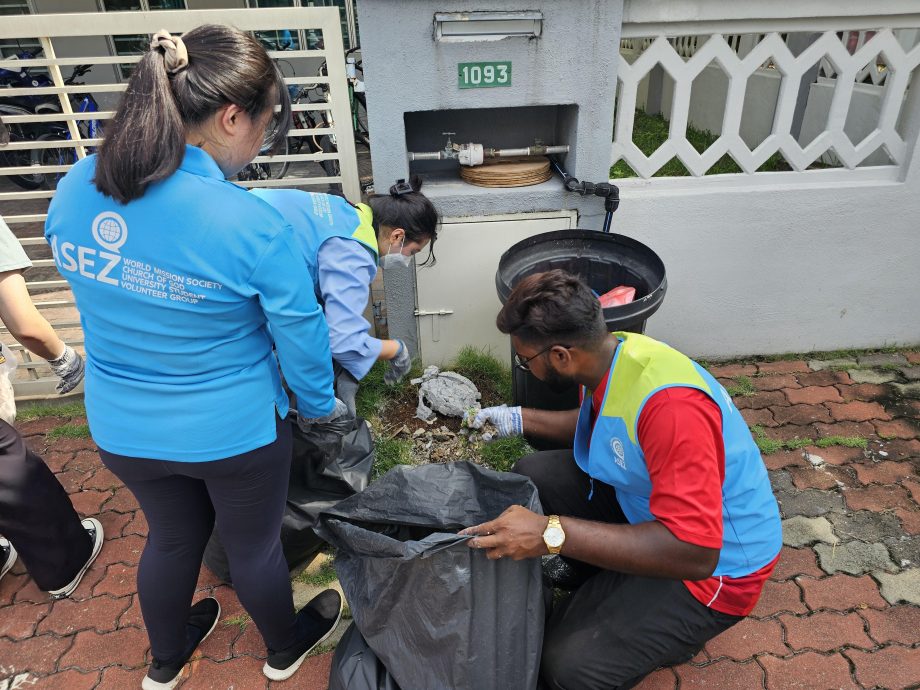 50ASEZ志愿者清理美化霹雳州西湖花园地区
