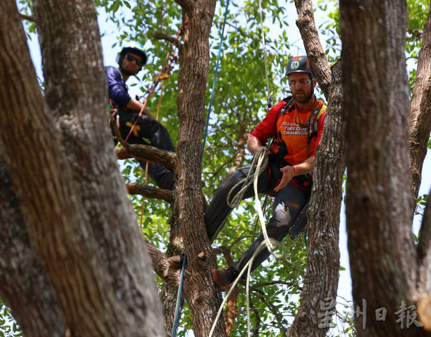 《星角摄》亚太8国51选手聚集关丹较量攀树功夫!