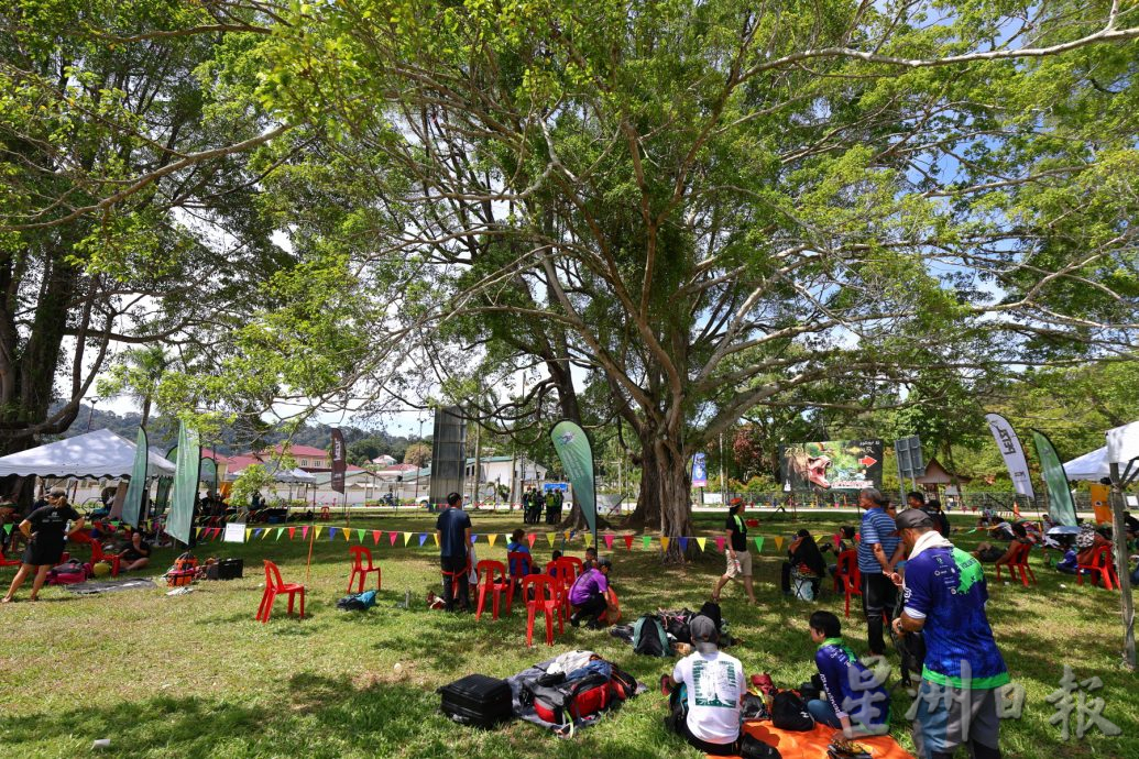 《星角摄》亚太8国51选手聚集关丹较量攀树功夫!