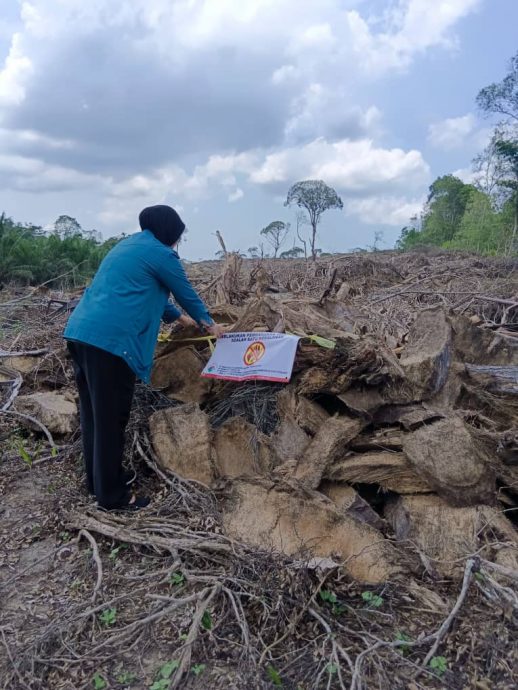 东:垃圾土埋场失火 环境局监测登州空气质量