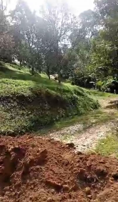 东：森林局行动升级，在猫山王非法芭挖路坑，阻农民进芭工作