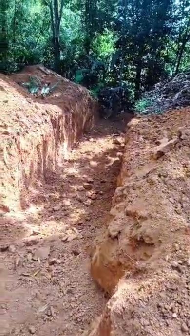 东：森林局行动升级，在猫山王非法芭挖路坑，阻农民进芭工作