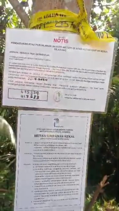 东：森林局行动升级，在猫山王非法芭挖路坑，阻农民进芭工作