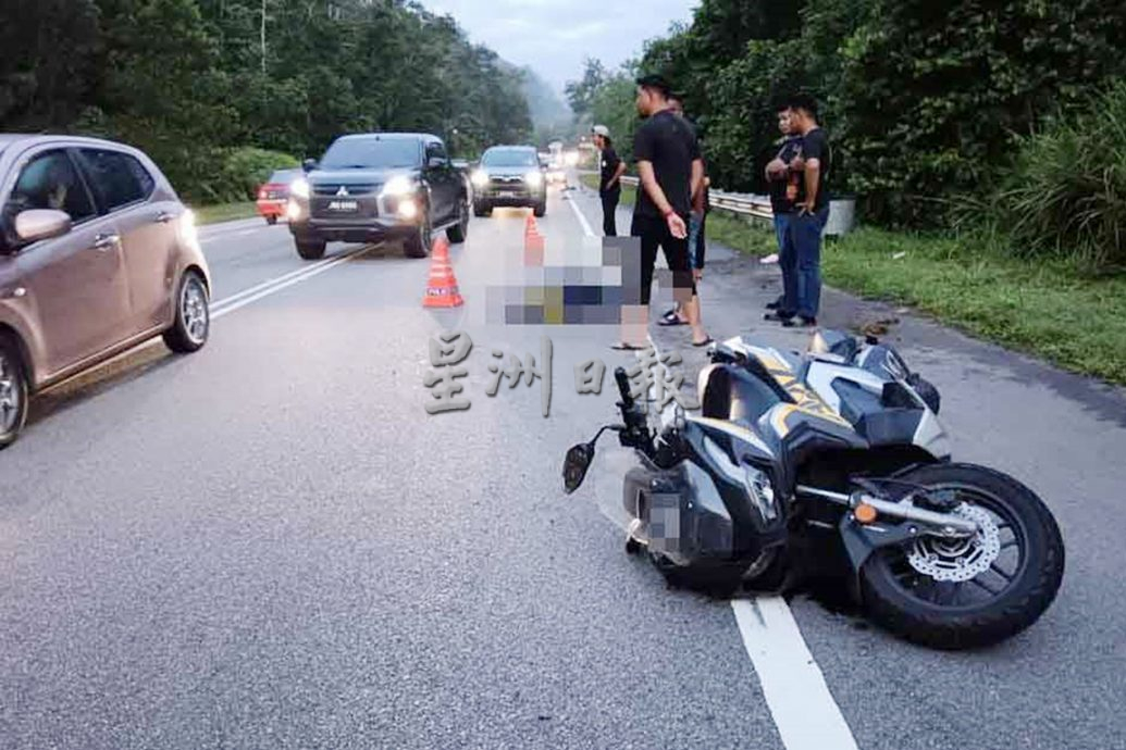 主管骑摩托上班 撞横尸山猪 摔跌毙命