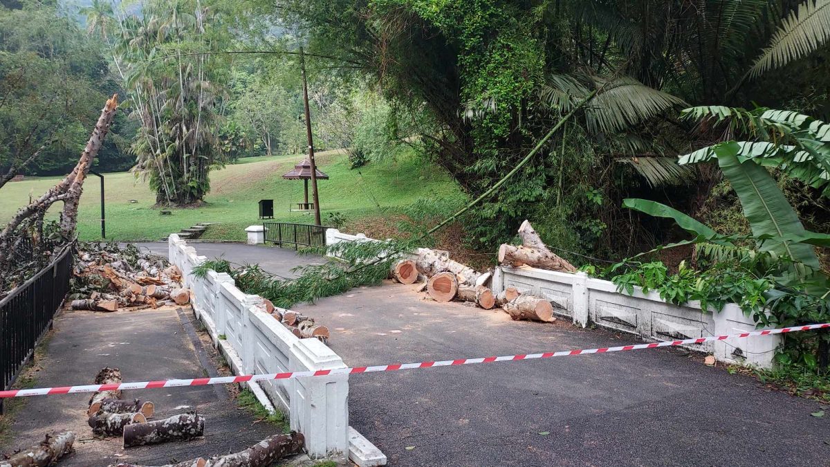 代局长:季候风交替期 槟消拯局备战水灾