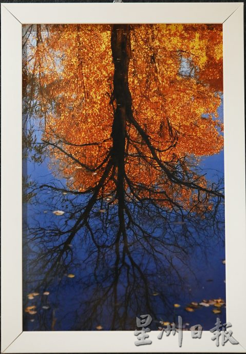 传奇艺术家许锦芳“多元艺术个人展”