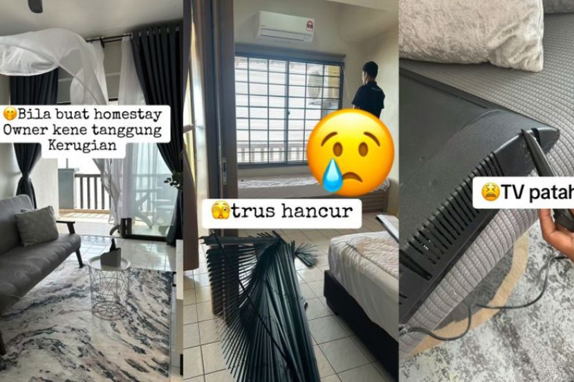 住客弄坏家具电视 网轰:猴子住在这里?