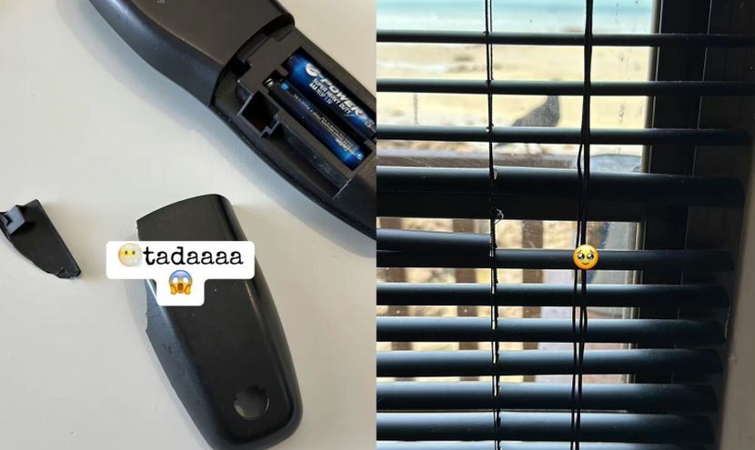 住客弄坏家具电视 网轰:猴子住在这里?