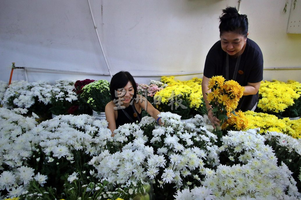 佛总卫塞迎佛游行准备好了 龙凤呈祥花车献祝福