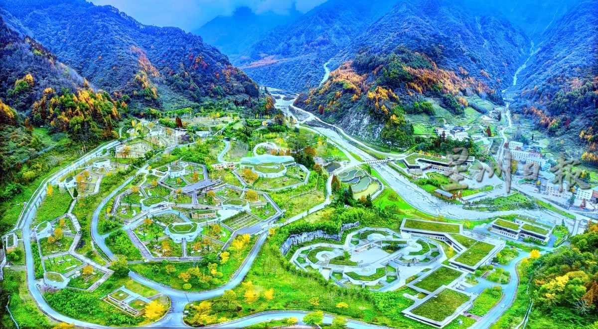 紫清湖+成都卧龙基地篇