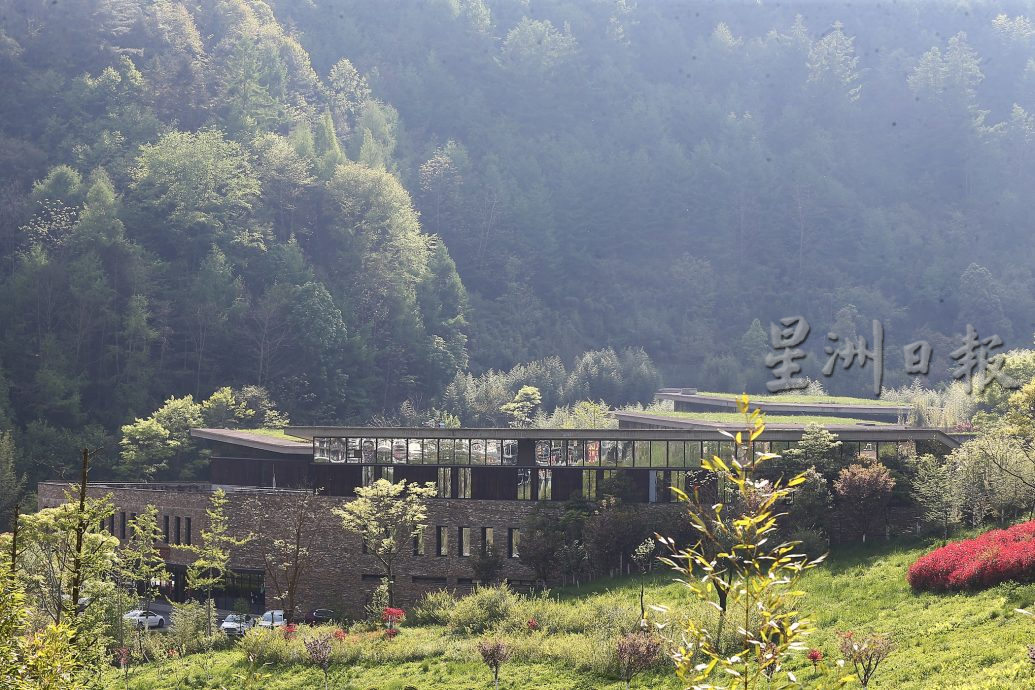 紫清湖+成都卧龙基地篇