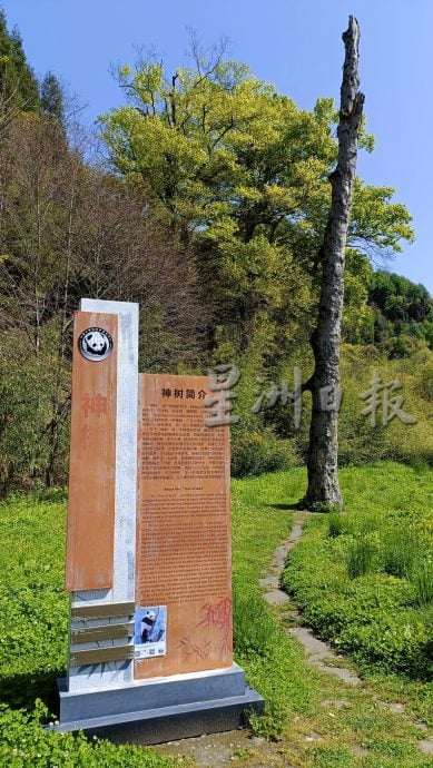 紫清湖+成都卧龙基地篇