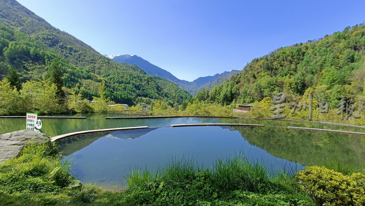 紫清湖+成都卧龙基地篇