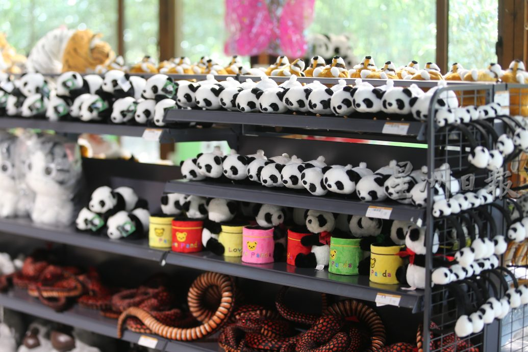 紫清湖+成都卧龙基地篇