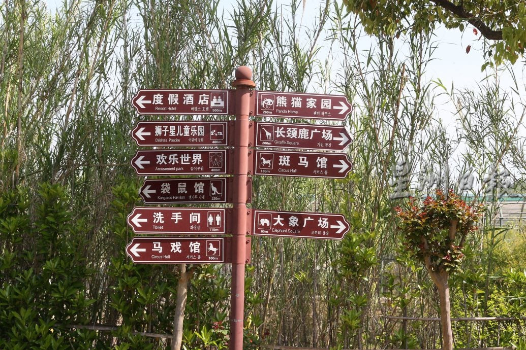 供网络 - 紫清湖+成都卧龙基地篇/照片请放星洲水印