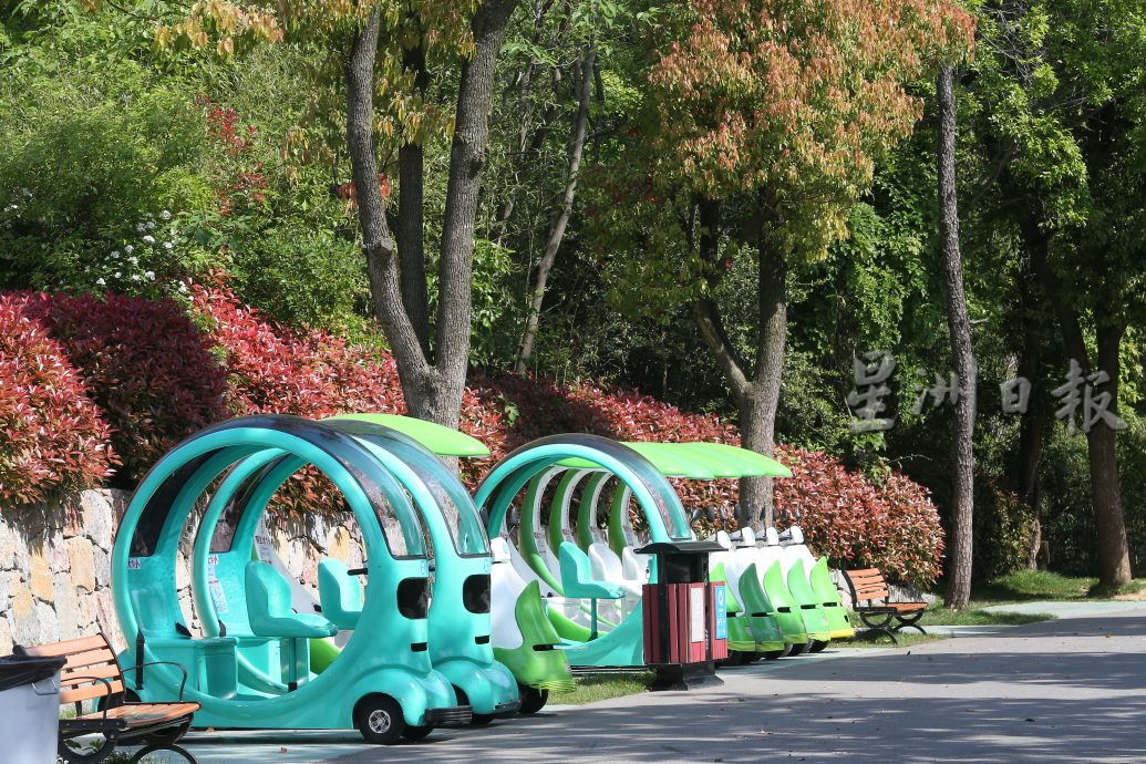 供网络 - 紫清湖+成都卧龙基地篇/照片请放星洲水印